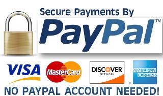 pay-with-paypal-the-most-secured-payment-gateway